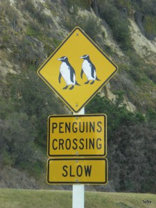 Neuseeland 2009 alle 372