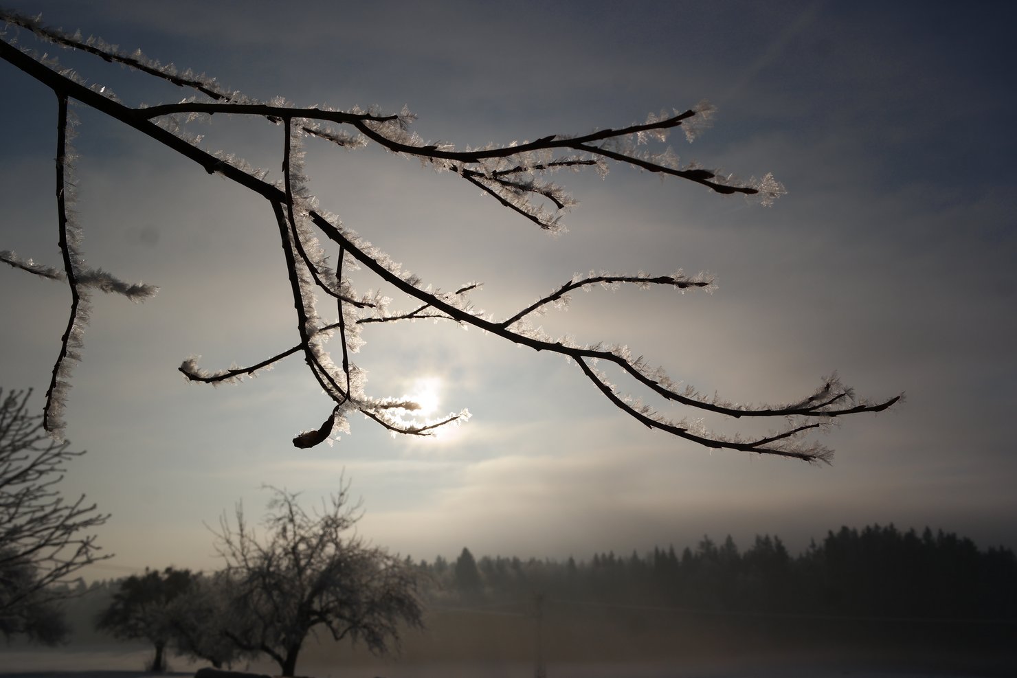 Winterzauber