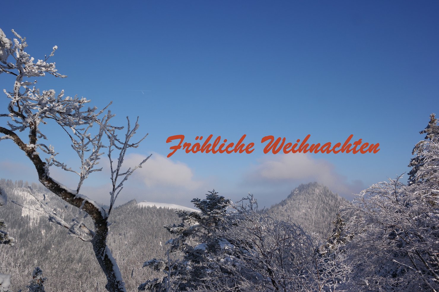 Fröhliche Weihnachten